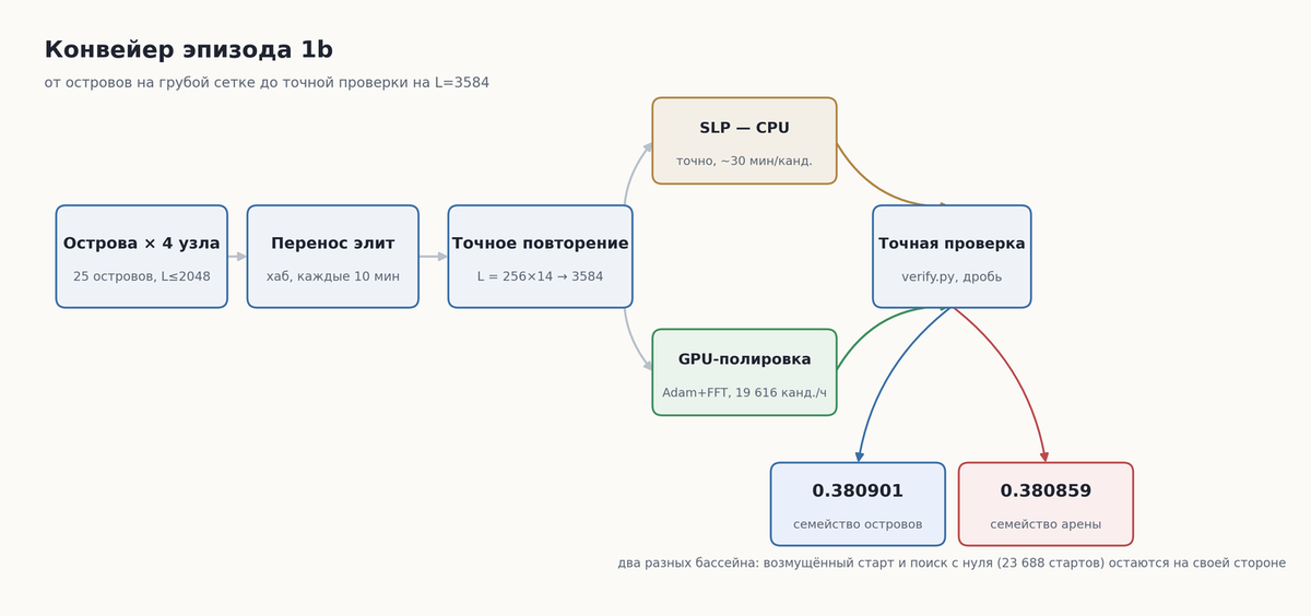 Конвейер эпизода 1b: острова MAP-Elites на четырёх узлах → перенос элит через хаб → точное повторение до L=3584 → полировка SLP на CPU и GPU-подъём → точная проверка дробью